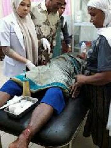 Niat Pergi Tarawih, Mahadar Ditangkap Buaya