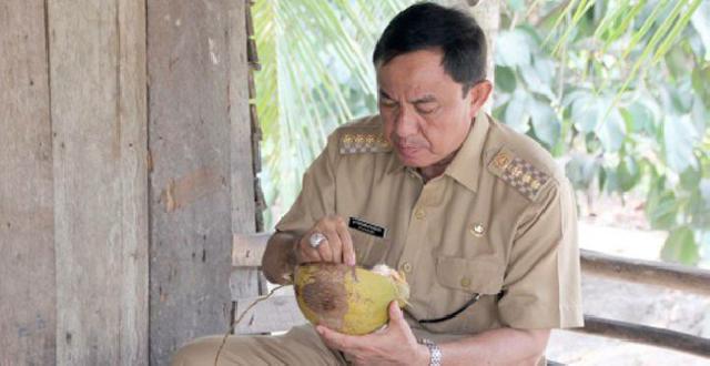 Miliki Kelapa Unggulan Kebanggaan Bupati Inhil