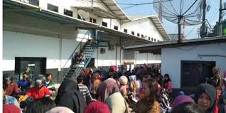 GERAM Akan Tuntut Perizinan PT PSPI Dicabut