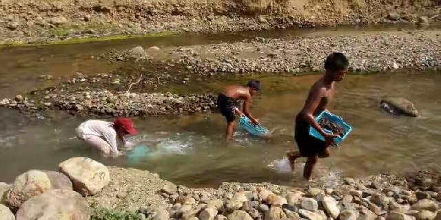 Bocah-bocah Ini Mengais Batu dan Berjualan Sayur demi Menopang Hidup