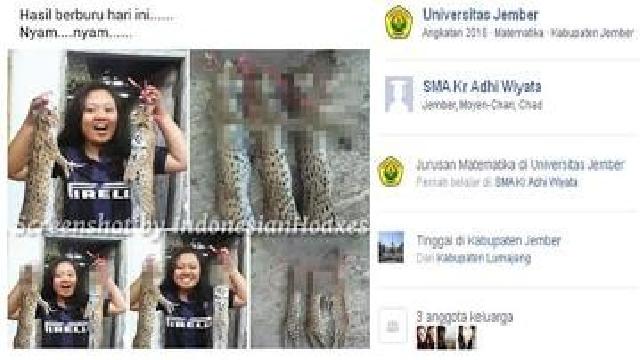 Wanita Siksa Kucing Lalu Posting ke Facebook