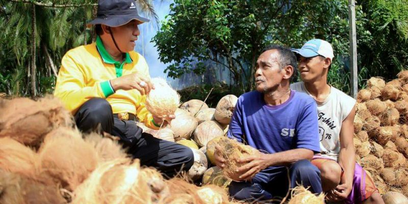 Meski Corona, Harga Kelapa di Inhil Masih Stabil