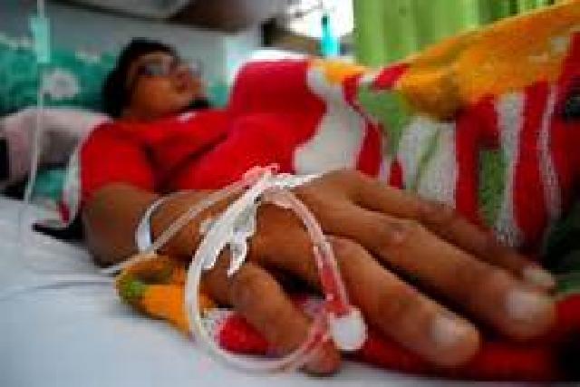 Dinkes Inhil, Penderita DBD Harus Segera Diobati