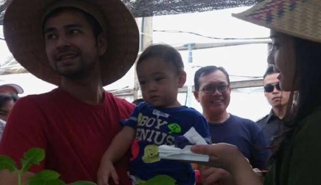 Raffi Ahmad Tanggapi Lamborghini Miliknya Tabrak Pohon