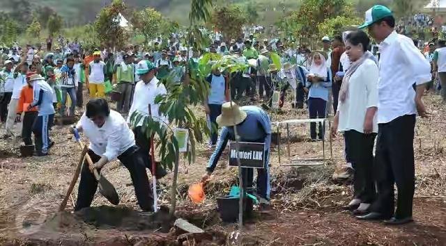 Mau Nikah, Calon Mempelai Wajib Tanam 5 Pohon