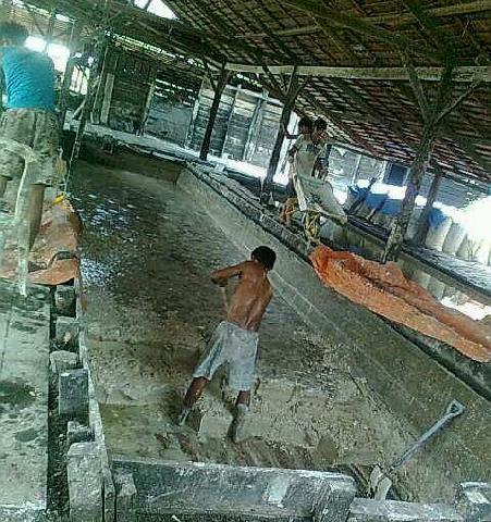 Tidak Hanya Kelapa, Pinang Yang Anjlok, Sagu Juga Turun Harga