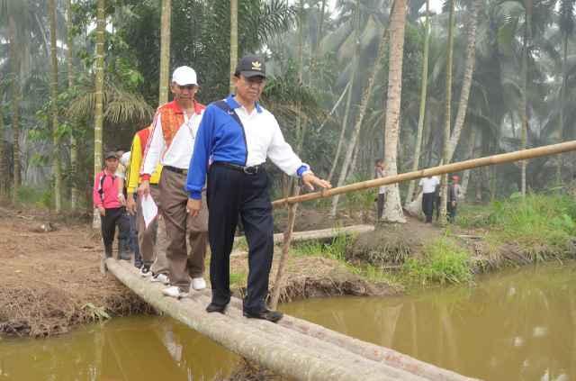 Bupati Inhil HM Wardan Komitmen Pembangunan Tanggul Jadi Program Prioritas