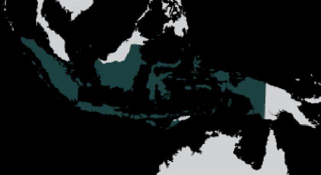 Ini Warga Negara yang Sering Berkunjung ke Indonesia