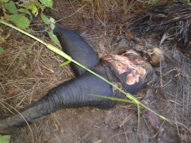 Di Inhil, Mayat Perempuan Tanpa Identitas Ditemukan Membusuk di Kebun Sawit