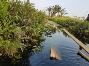 PT Arara Abadi Anak Perusahaan PT Sinar Mas Diduga Cermari Sungai