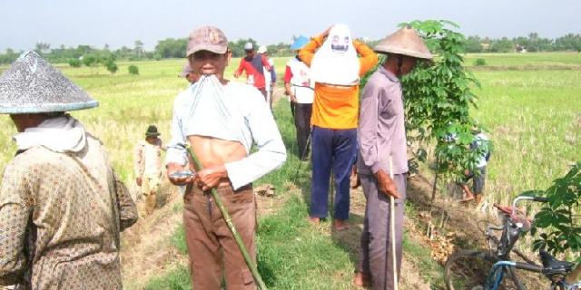 Daya Beli Petani Perkebunan Menurun Akibat Pembakaran Liar