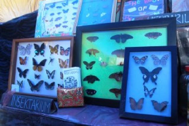 Insectarium, Serangga Yang Diawetkan