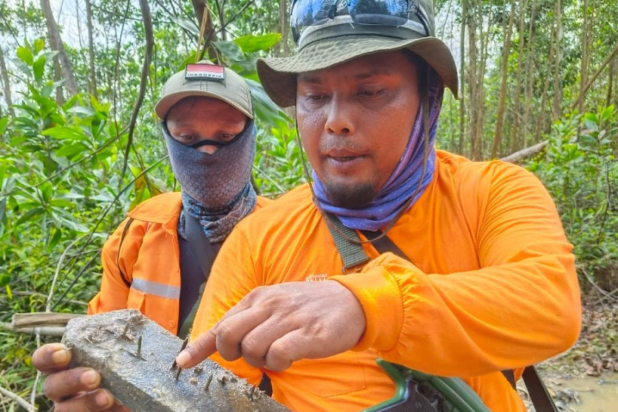Petugas Gabungan Kena Ranjau Paku Perambah Hutan