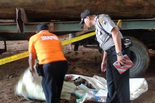 Tertimpa Kayu Gelondongan, Ando Widodo Tewas Mengenaskan