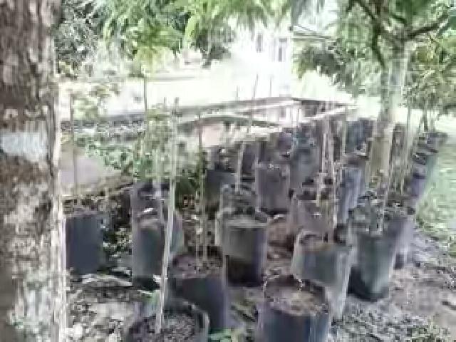 Riau Akan Lawan Inflasi Melalui Ibu Rumah Tangga