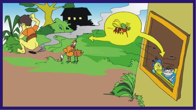 Dinas Kesehatan Kabupaten Inhil Himbau Warga Cegah dan Waspadai 3 Penyakit Ini