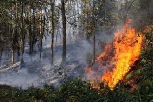 TNI Laporkan Ada Karhutla di Riau, BMKG Catat Hotspot Nihil