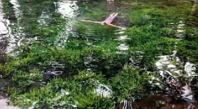 Pemandangan Langka, Air Telaga Sebening Kaca di Jawa Barat