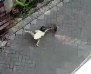 Nonton Topeng Monyet, Balita Ini Ditarik dan Diseret Hingga Jatuh