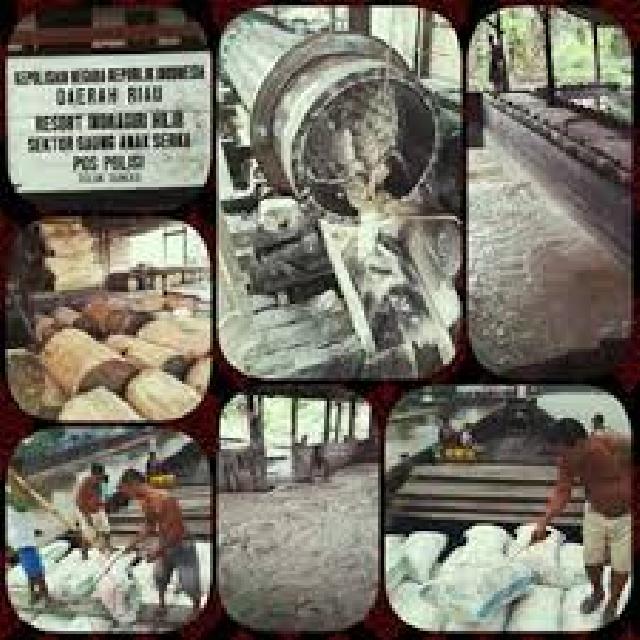 Anjlok Drastis, Ini Harga Sagu Basah Di Indragiri Hilir