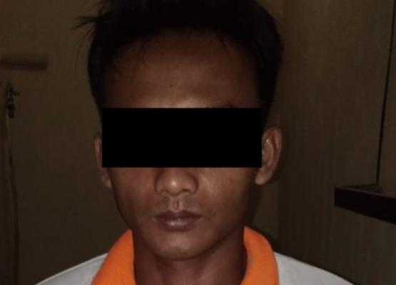 Pasar Malam Berujung Petaka, Gadis 15 tahun Diperkosa di Kebun Sawit