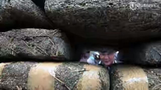 Gara-gara Ganja, Pria Ini Harus 5 Tahun Mendekam di Penjara