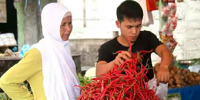 Harga Capai Rp 60.000, Wali Kota Padang Ajak Warga Menanam Cabai