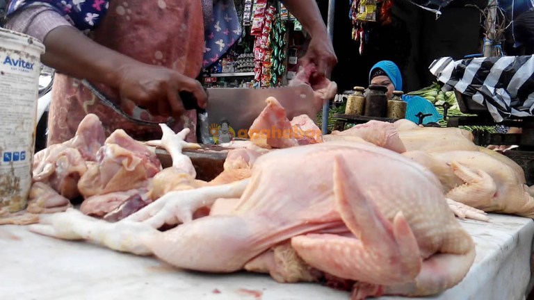 Harga Ayam Ras di Pekanbaru Relatif Stabil