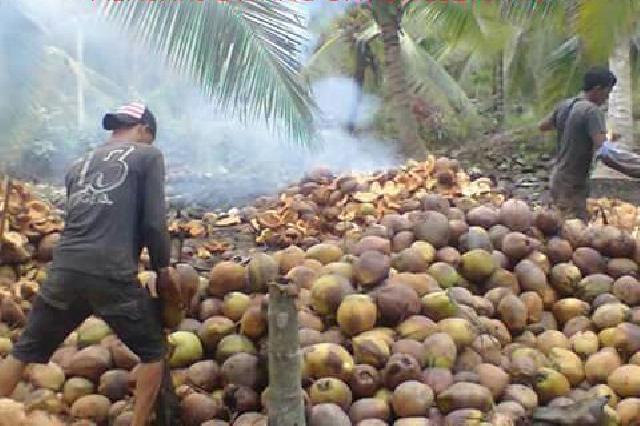 Bupati Inhil Peringatkan OPD Tidak Lengah Siapkan Kegiatan Akbar FKI
