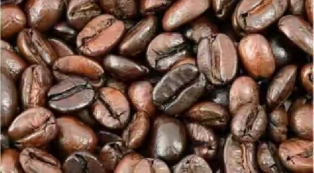 Ini Alasan Kenapa Sebaiknya Simpan Biji Kopi di Kulkas