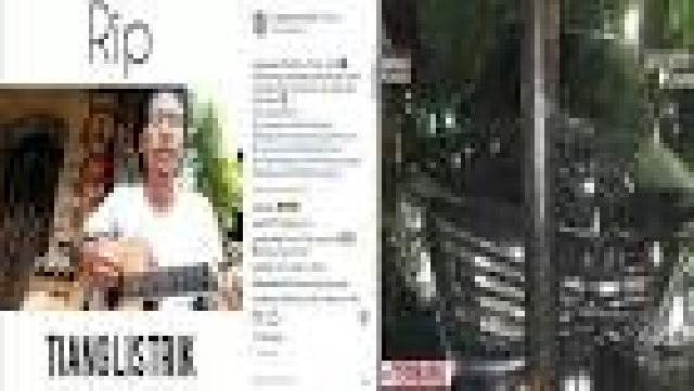 Karya Seni Tercipta Usai Setya Novanto Nabrak Tiang Listrik