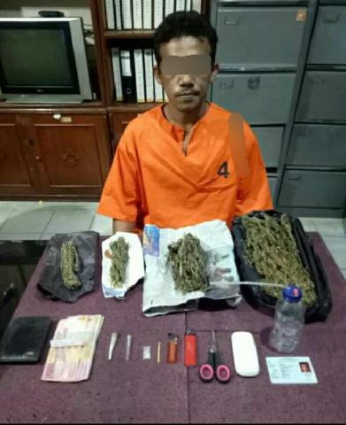 Usai Tangkap Pelaku Ganja, Polres Inhil Bekuk Bandarnya
