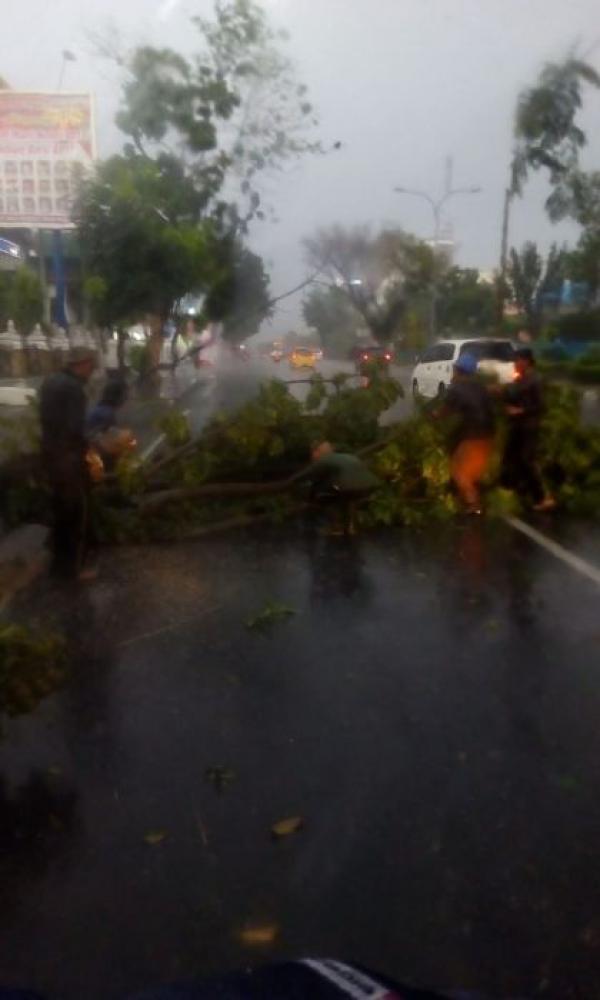 Insiden Saat Hujan Dan Angin Kencang di Pekanbaru