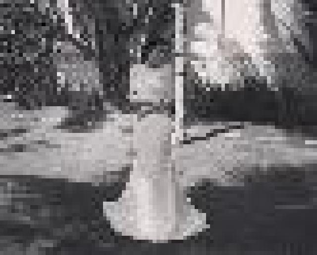 Saat di RS Abdi Waluyo, Keluarga Sudah Curiga Mirna Diracun