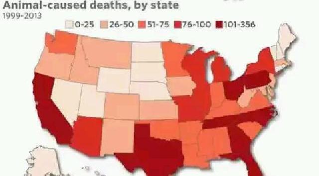 Berbentuk Kecil, Tapi Hewan Ini Bunuh 58 Orang Pertahun