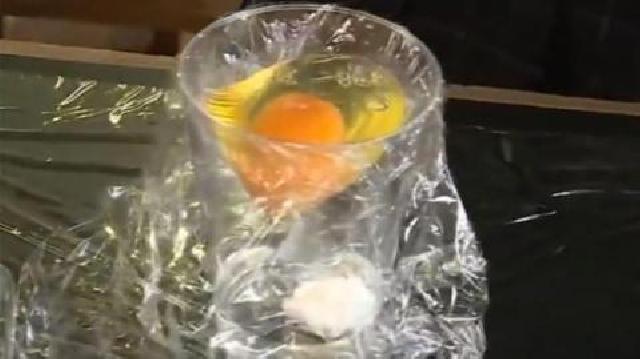 Para Siswa SMA Ini Sukses Erami Telur Ayam dan Menetaskannya Tanpa Cangkang