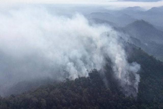 Hutan Lindung di Kampar Terbakar, Satgas Kesulitan Jangkau Lokasi