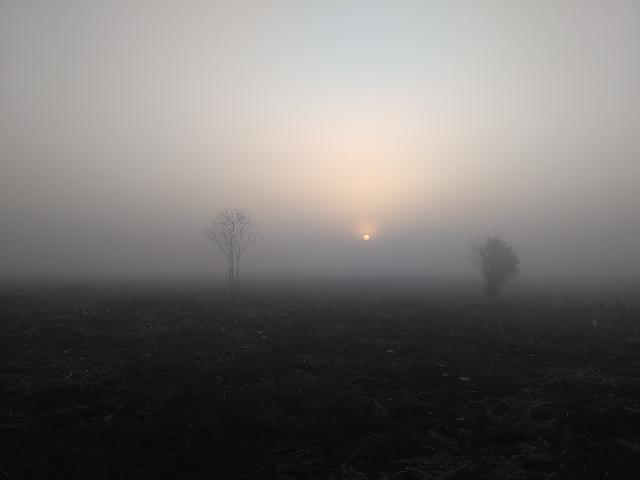 Penyidikan Kasus Karhutla Riau Dihentikan, Kapolri: Sp3 sudah dievaluasi karena kurang cukup bukti