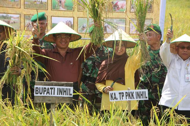 Bupati Inhil Harapkan Panen Raya Bisa Lebih Dari Dua Kali Dalam Satu Tahun