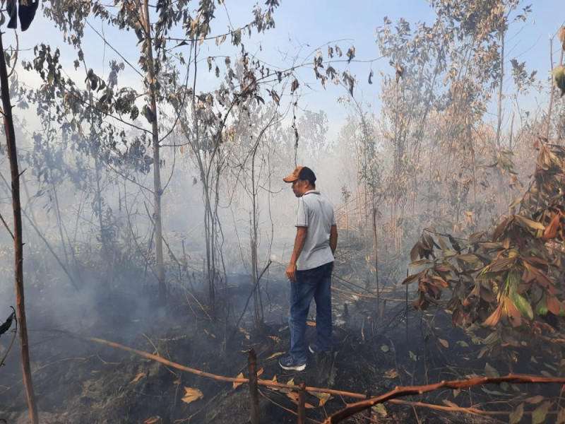 Polisi Ringkus 34 Orang Pelaku Kebakaran Lahan