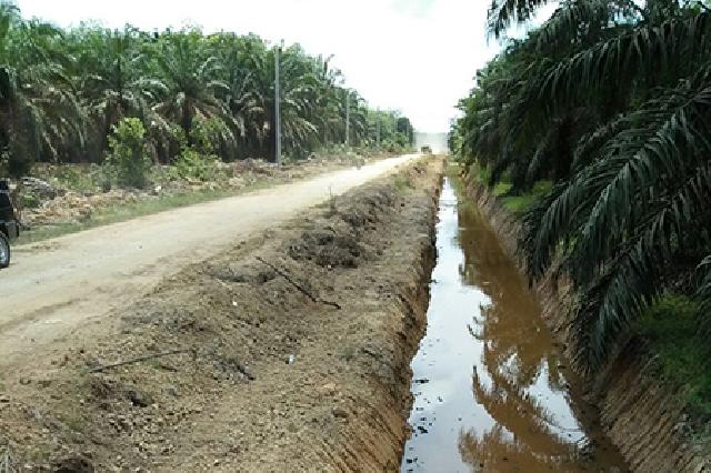 Melalui DMIJ, Pembangunan di Desa Limau Manis Lebih Banyak Dari Sebelumnya