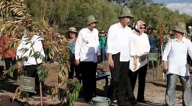 Canangkan Program 1 Miliar Pohon, Jokowi Minta Danau Toba Dijaga