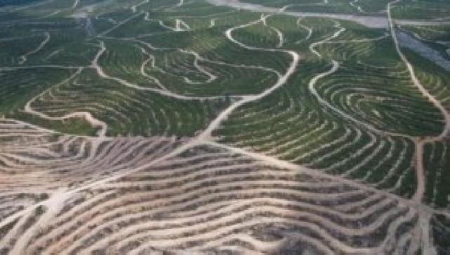 Lagi APP Group, Konflik Dengan Suku Melayu