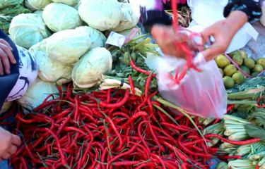 Gejala Virus Corona Varian Delta yang Mendominasi Lonjakan Kasus Covid-19 di Indonesia