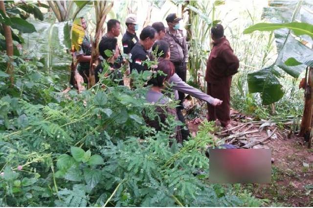 Hilang sejak Kemarin, Penjual Sayur Ditemukan Tewas di Kebun Pisang