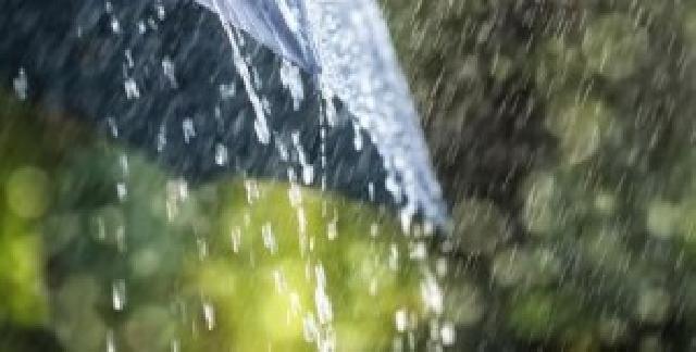 Ini Informasi Titik Panas di Riau Hari Ini