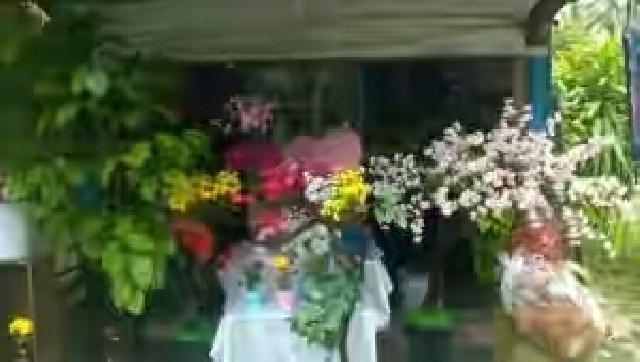 Cari Tanaman Hias dengan Motif yang Unik disini Tempatnya