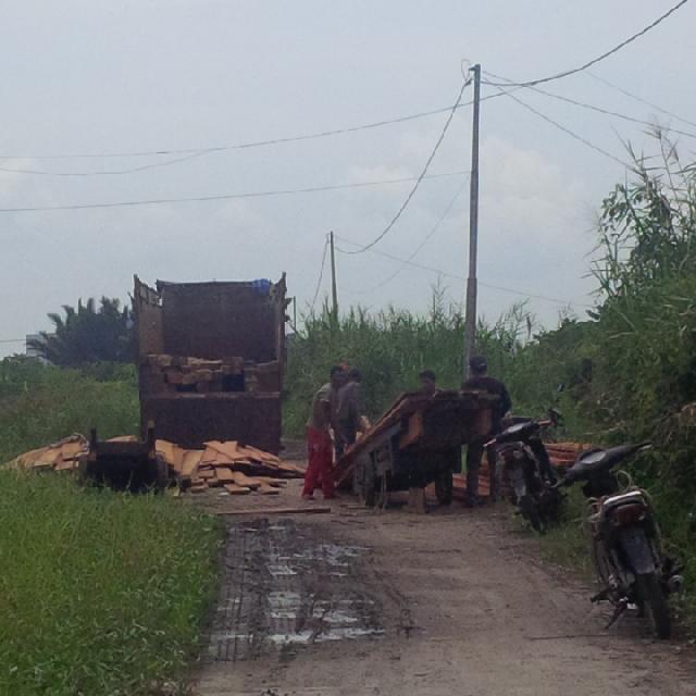 Bongkar Muat Kayu Ilegal Logging Manfaatkan Momen Sholat Jumat