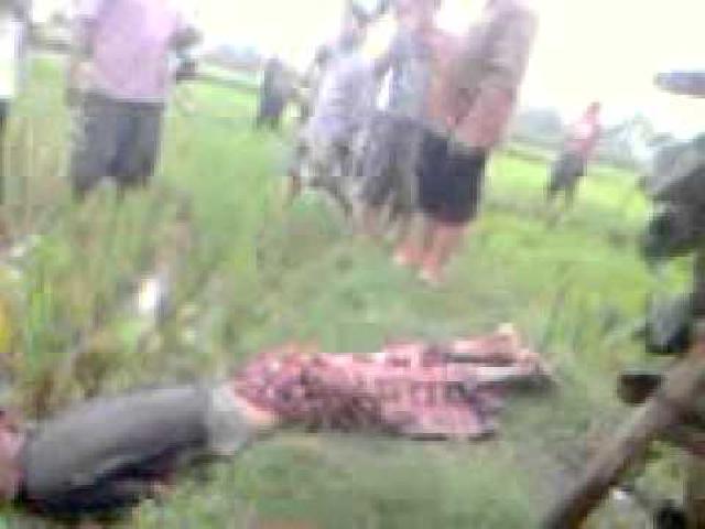 Pria Ini Tewas Tersambar Petir Saat Menunggu Durian Jatuh dari Pohon