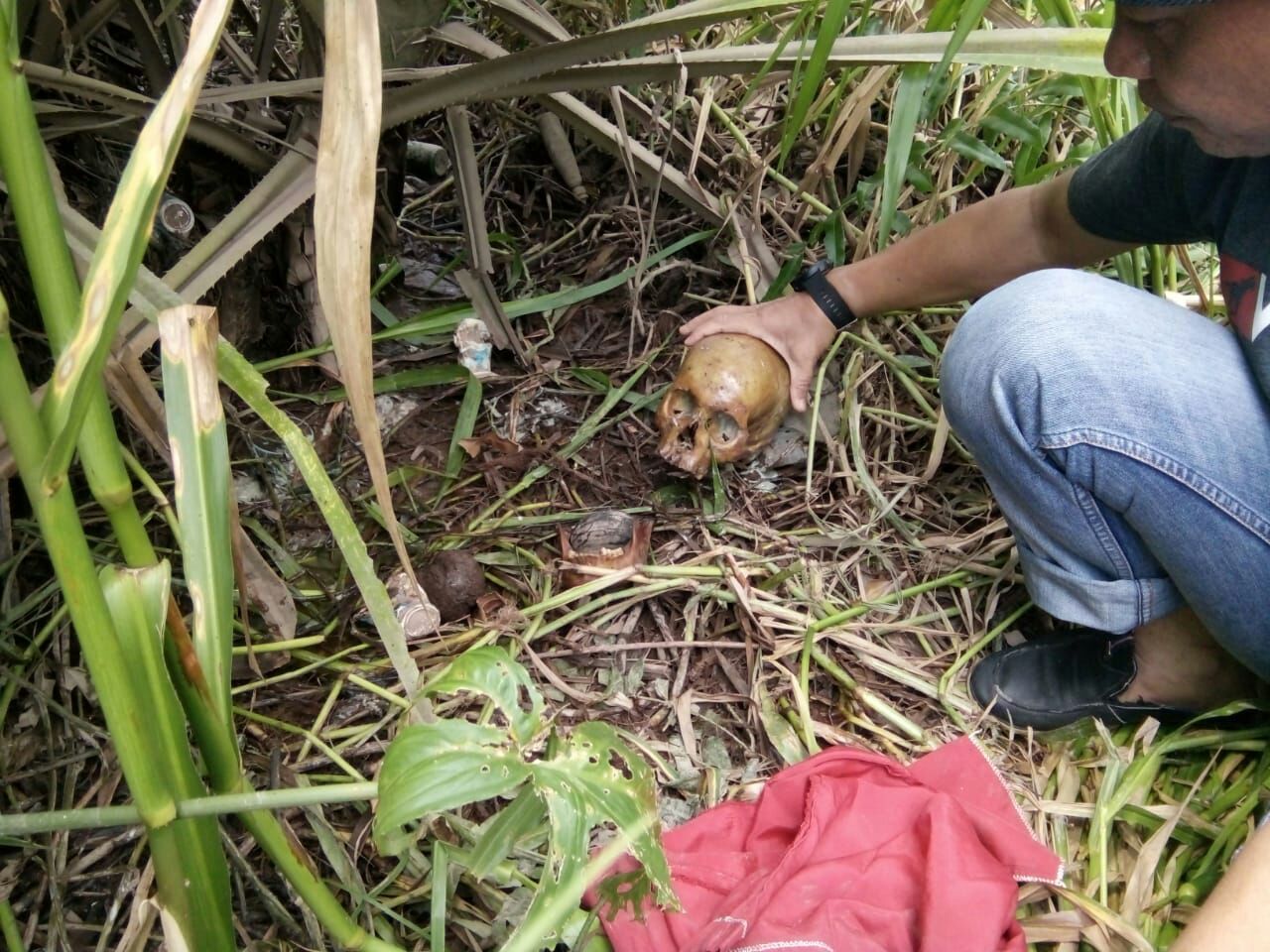 Usai Potongan Tubuh, Kini Polisi Temukan Tengkorak Kepala